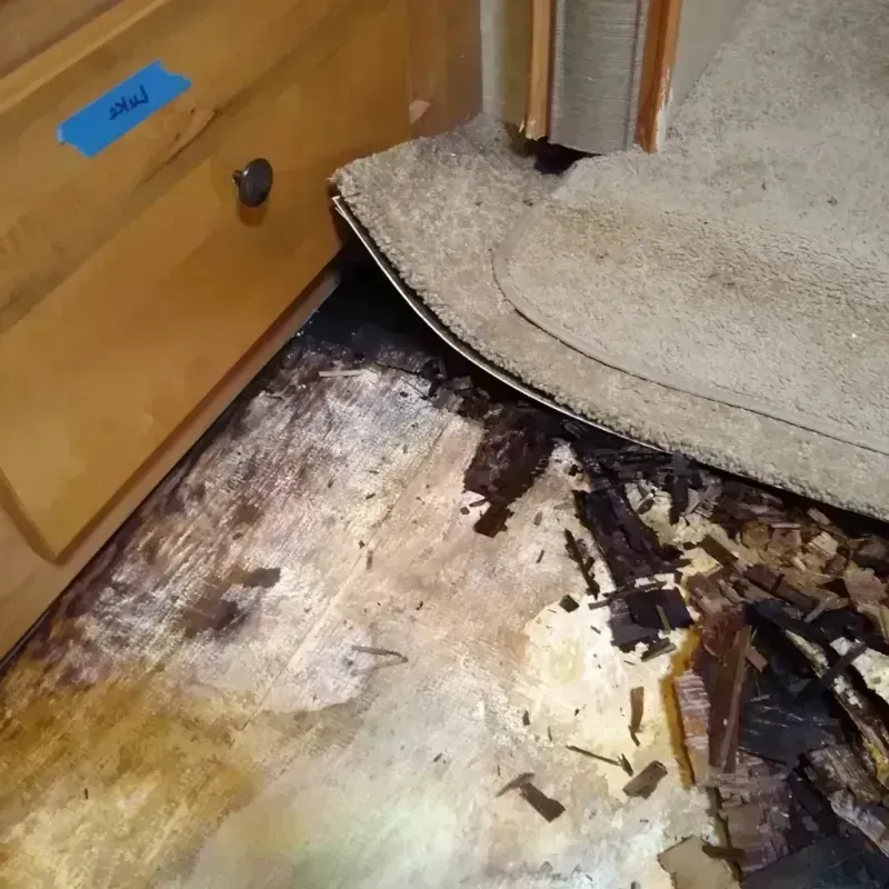 Best Wood Floor Water Damage Service in Stanton, TX